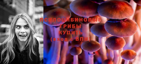 дурь Алексин