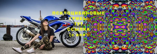 дурь Алексин