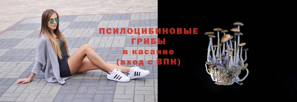 дурь Алексин